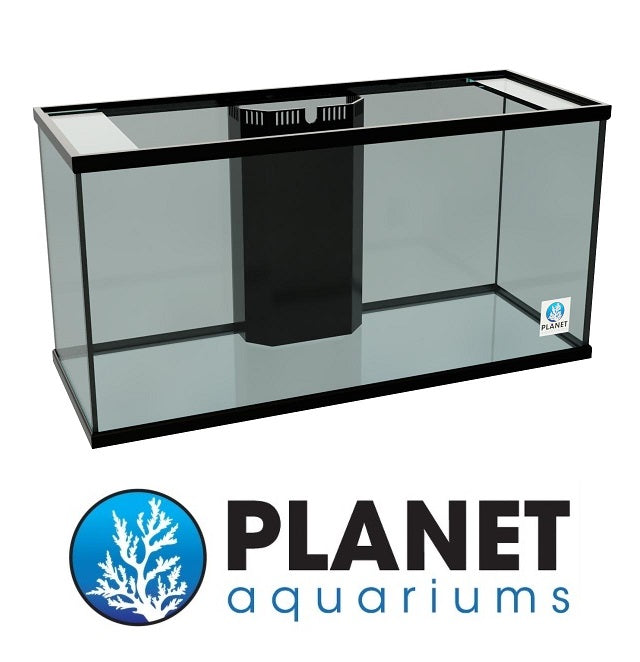 Top Rated Glass Aquariums by Dallas Aquarium Experts – Dallas